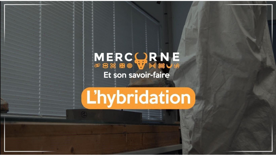 Hybridation : L'Art de Fusionner des Matériaux Naturels avec de la Résine dans la Fabrication de Coutellerie par Mercorne